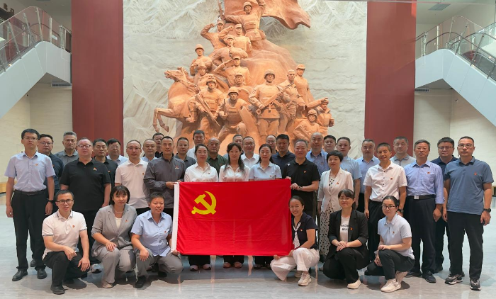 图片5